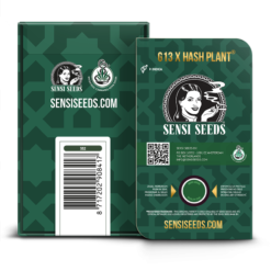 Mr. Nice G13 X Hash Plant Regolari - Sensi Seeds