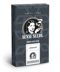 Sensi Seeds Northern Lights Semi Autofiorenti
