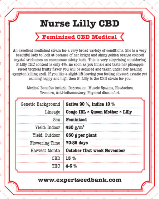 Expert Seeds Nurse Lilly CBD Feminized (Congo IBL x Lilly x Queen Mother)