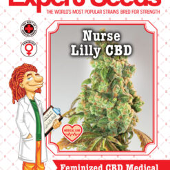 Expert Seeds Nurse Lilly CBD Feminized (Congo IBL x Lilly x Queen Mother)