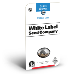OG Kush White Label Autofiorente - Sensi Seeds