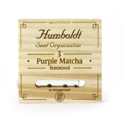 Purple Matcha Femminizzata - HSO