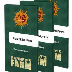 Runtz Muffin Barney's Farm Semi Femminizzati