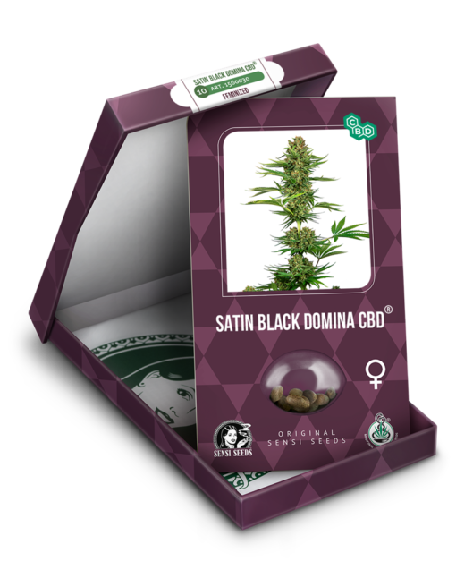 Satin Black Domina CBD Semi Feminizzati