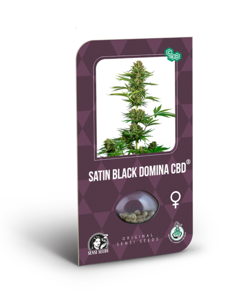 Satin Black Domina CBD Semi Feminizzati