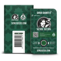 Shiva Shanti II Regolari - Sensi Seeds