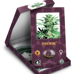 Shiva Skunk Femminizzati - Sensi Seeds