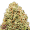 Strawberry Cake Femminizzata - Heavyweight Seeds