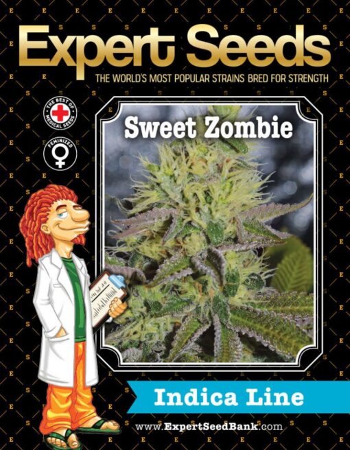 Expert Seeds Sweet Zombie Feminized (Black Domina x Zombie Virus)