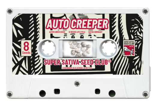 Super Sativa Seed Club AUTO CREEPER Feminized