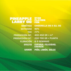 BSF Seeds Pineapple Larry OG Feminized (Cinderella 99 x Super Lemon Larry OG IBL)