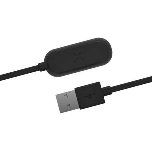PAX Mini Caricatore USB