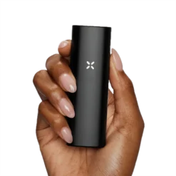 PAX Mini Onyx