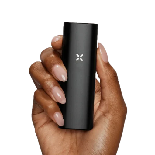 PAX Mini Onyx