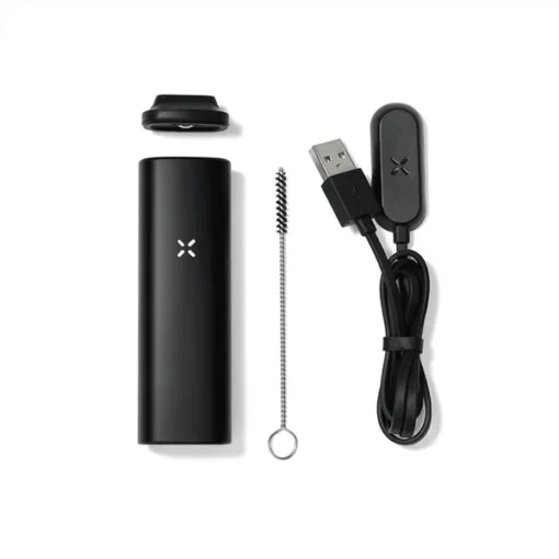 PAX Mini Onyx