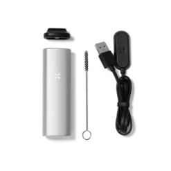PAX Mini Platinum