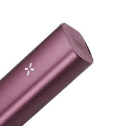 PAX Plus Elderberry