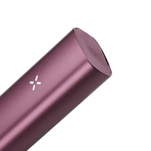 PAX Plus Elderberry