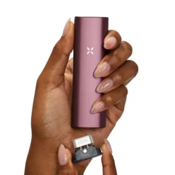 PAX Plus Elderberry