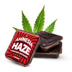 Space Bakery Amnesia Haze Cannabis Brownies