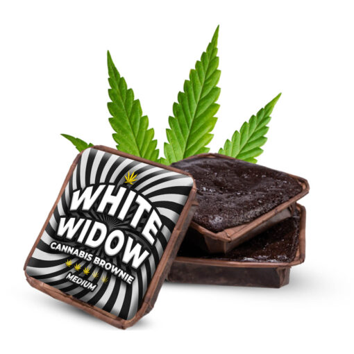 Space Bakery White Widow Cannabis Brownies