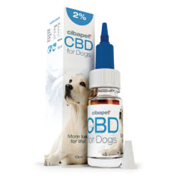 Cibdol CBD Oil for Dogs