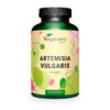 Vegavero Artemisia Vulgaris