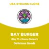 Bay Burger