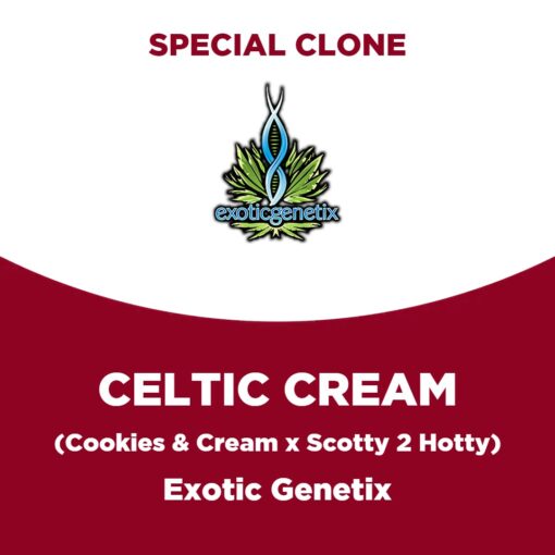 Celtic Cream