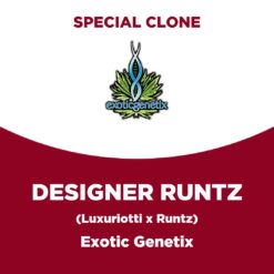 Designer Runtz