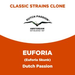 Euforia | Dutch Passion | Classic Strains Clone