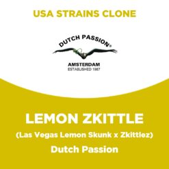Lemon Zkittle | Dutch Passion | USA Strains Clone