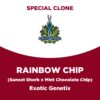 Rainbow Chip