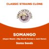 Somango | Soma Seeds | Classic Strains Clone