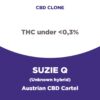 Suzie Q | Austrian CBD Cartel | CBD Clone