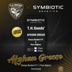 Afghan Grease fem. T.H. Seeds X Symbiotic Genetics