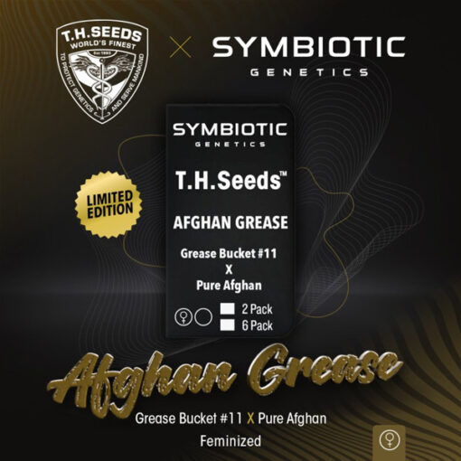 Afghan Grease fem. T.H. Seeds X Symbiotic Genetics