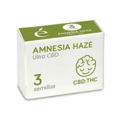 Amnesia Haze Ultra CBD. Elite Seeds