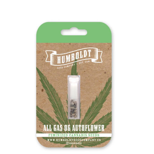 Auto All Gas OG 3 u. fem Humbold Seeds Company
