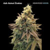 Auto Animal Zookies fem. Advanced Seeds