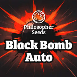 Auto Black Bomb 3 u fem  Philosopher