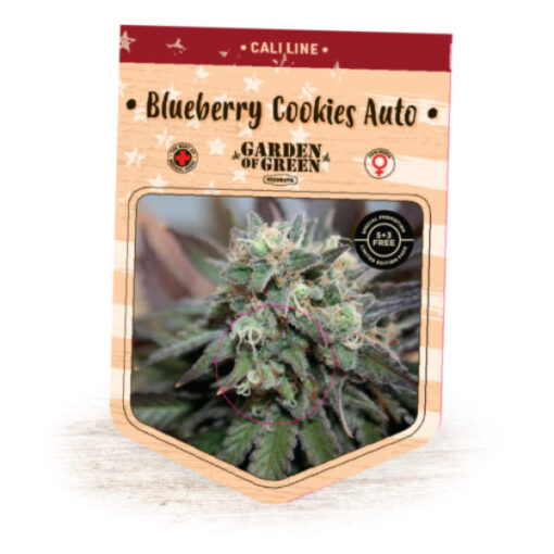Auto Blueberry Cookies fem. Garden of Green Seeds