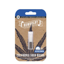 Auto California Sour Diesel 3 u. fem Humbold Seeds Company