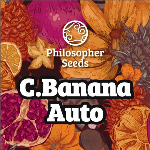 Auto Chiquita Banana 3 u fem  Philosopher