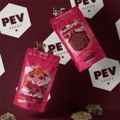 Auto Critical Plus 5 u Pev Seeds
