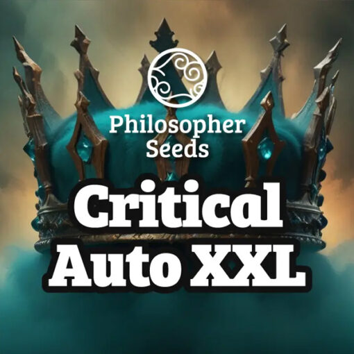 Auto Critical XL fem. Philosopher