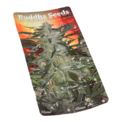 Auto Deimos fem. Buddha Seeds