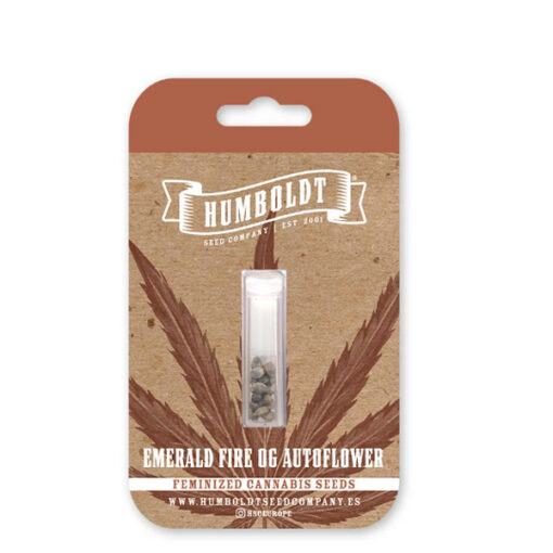 Auto Emerald Fire OG 3 u. fem Humbold Seeds Company