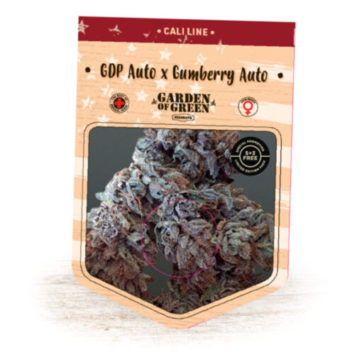 Auto Gumberries GDP fem. Garden of Green Seeds