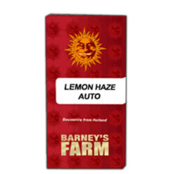 Auto Lemon Haze fem. Barney's
